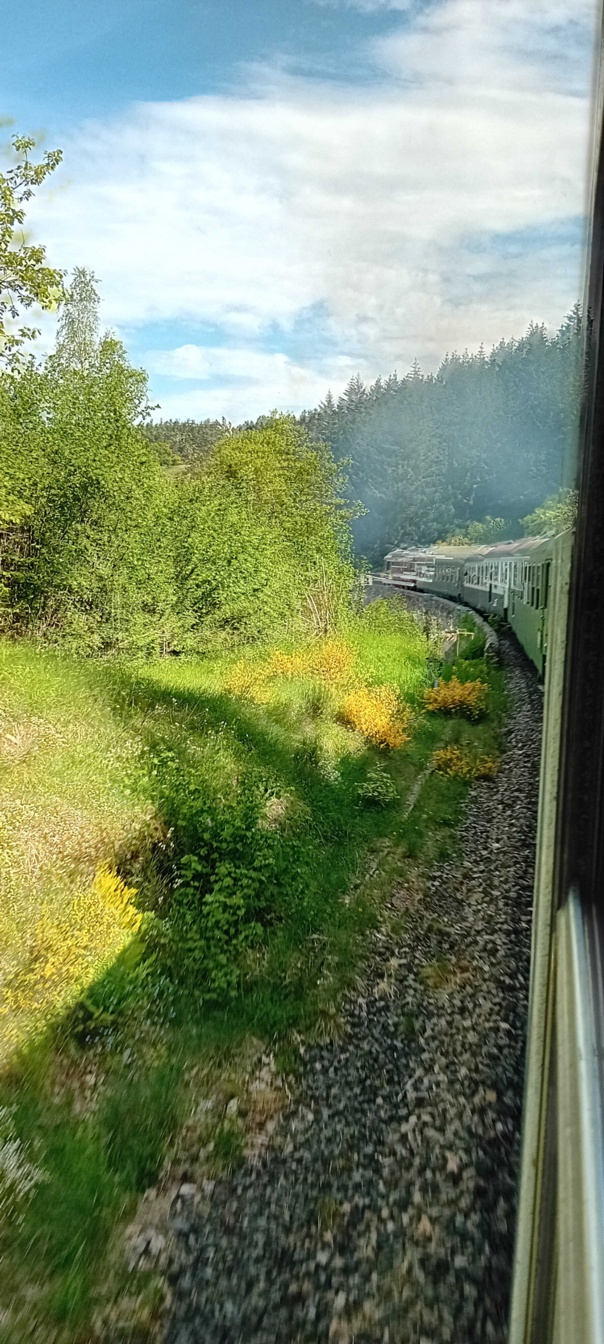 2024 05 26 Train vapeur (photos François)