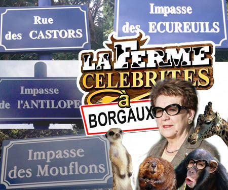 Ville de Borgaux o Zoo de Borgaux ?