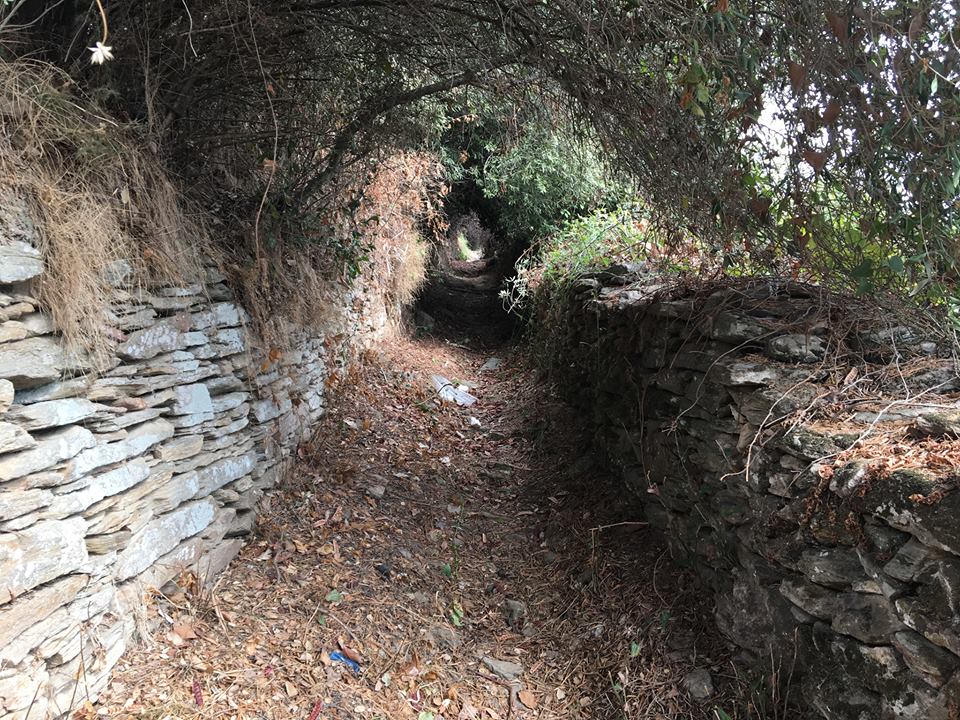 Perchè Bastia hè a più bella cità di u mondu