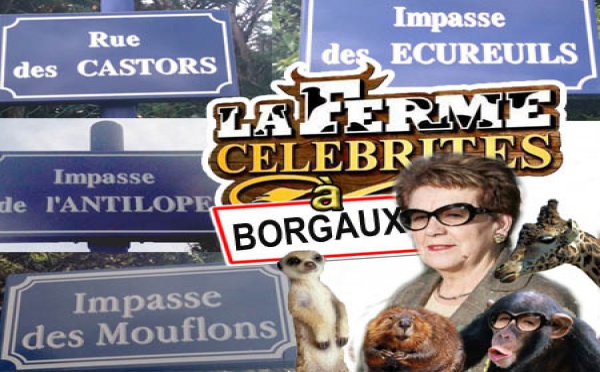 Ville de Borgaux o Zoo de Borgaux ?