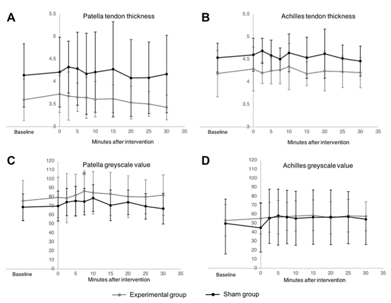 L'entraînement en résistance à haute intensité ne produit pas de changements échographiques immédiats au niveau des tendons. 