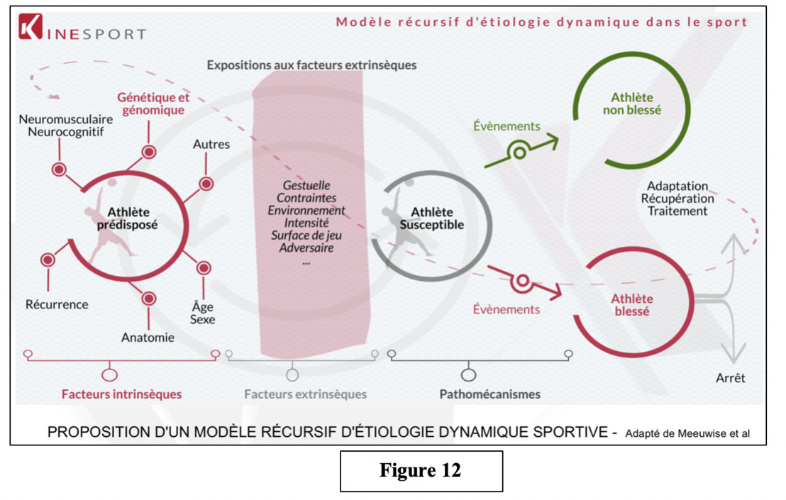 L’instabilité Gléno-Humérale : différentes lésions, différents traitements, différents pronostics. Qu’en est-il du retour au sport ?   Partie 1 