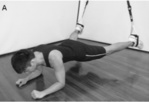 Activité des muscles du tronc pendant des exercices en suspension