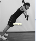 Activité des muscles du tronc pendant des exercices en suspension