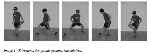 Effets des étirements statiques et dynamiques lors du renforcement excentrique des ischio-jambiers en isocinétisme et ratios unilatéraux de force musculaire entre quadriceps et ischio-jambiers.