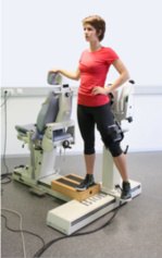 Rôle des la force musculaire des abducteurs et des rotateurs latéraux de la hanche dans le développement du syndrome tibial d’effort médial