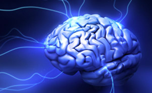 La stimulation électrique neuromusculaire haute fréquence module l’inhibition inter hémisphérique chez des sujets sains