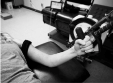 Adaptation précoce de la force musculaire et de l'hypertrophie à la suite d'un entraînement de résistance avec restriction du débit sanguin de faible intensité