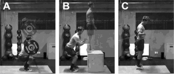 L'entraînement en résistance à haute intensité ne produit pas de changements échographiques immédiats au niveau des tendons. 