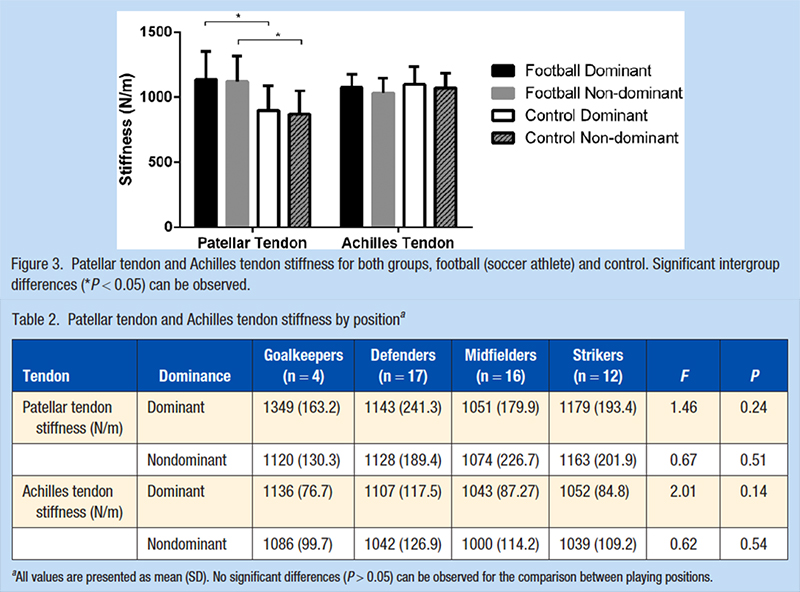 La rigidité du tendon patellaire et du tendon d'Achille chez des joueurs de football d'élite évalués à l'aide de mesures myotonométriques