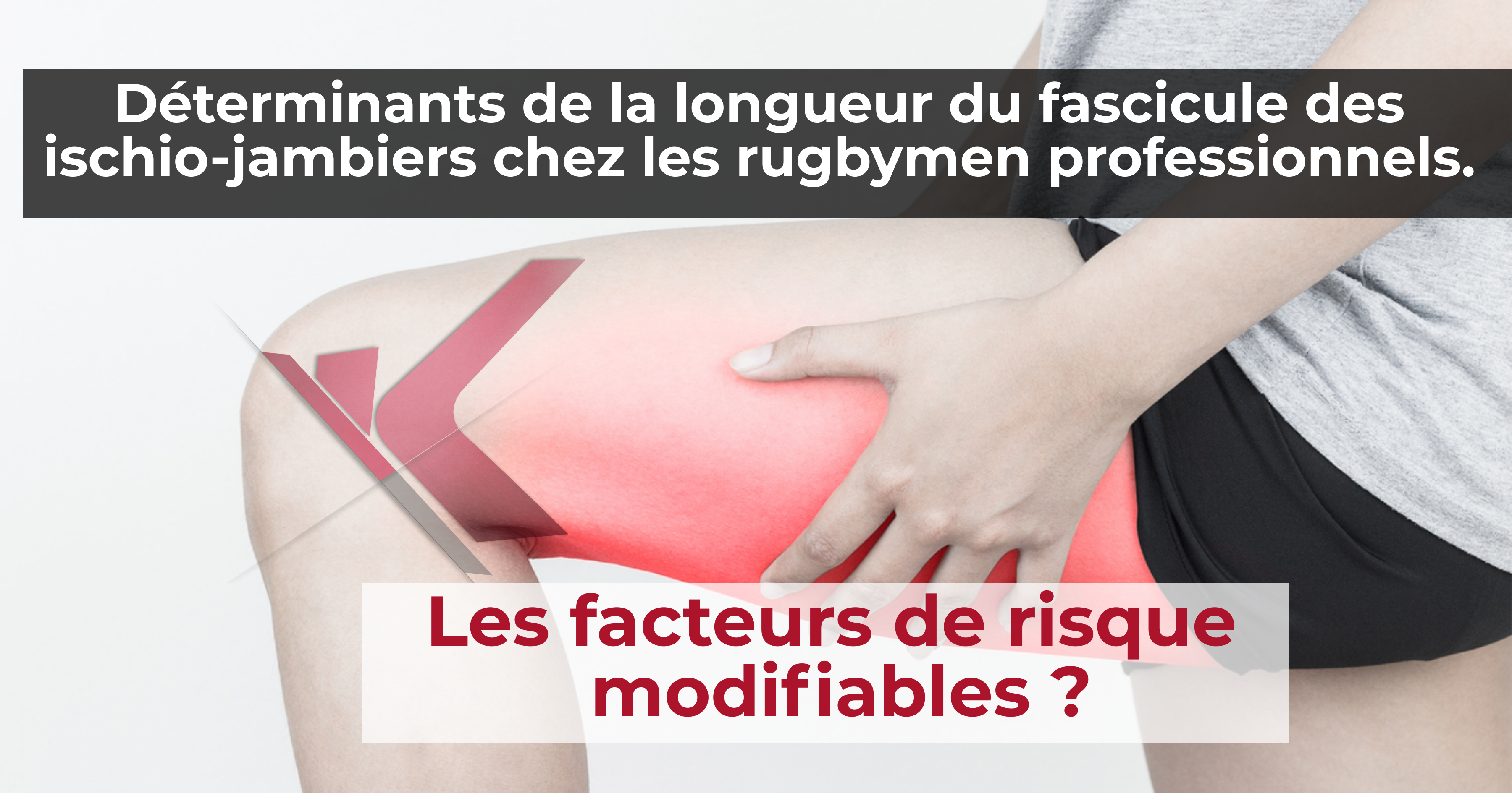 Déterminants de la longueur du fascicule des ischio-jambiers chez les rugbymen professionnels.