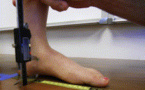 L’affaissement de l’arche médiale longitudinale et muscles intrinsèques du pied