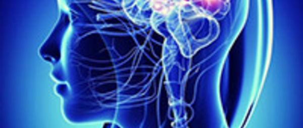Au-delà de l’articulation : le rôle des réorganisations du système nerveux central dans les troubles musculo-squelettiques chroniques