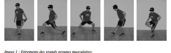 Effets des étirements statiques et dynamiques lors du renforcement excentrique des ischio-jambiers en isocinétisme et ratios unilatéraux de force musculaire entre quadriceps et ischio-jambiers.