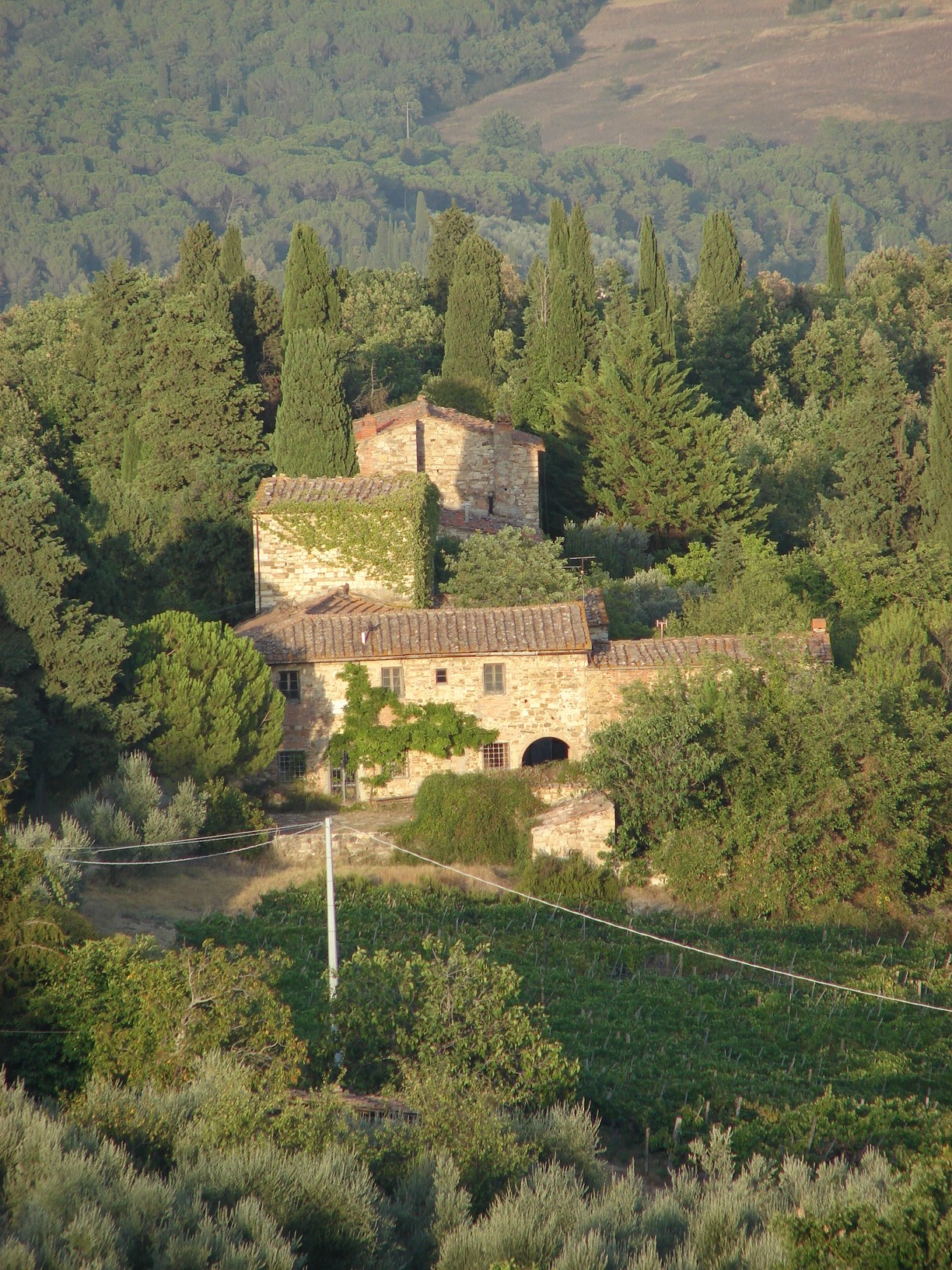 Chianti estate