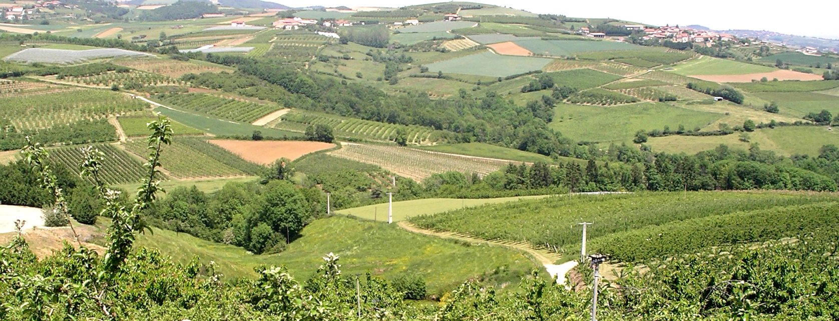 De outils pour préserver le foncier agricole