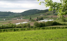 L'agriculture