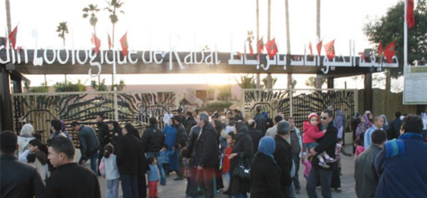 Depuis son ouverture en 2012, le Jardin zoologique national de Rabat a accueilli plus de 3,5 millions de visiteurs