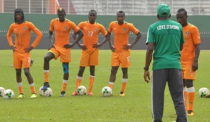 Chan 2018 : Les Eléphants sont à Marrakech