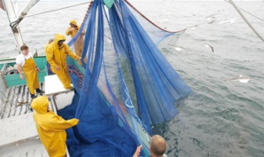 La légalité de l’accord de pêche Maroc-UE devant la juridiction européenne