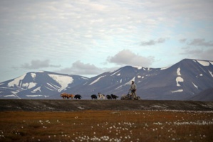 L'"Arche de Noé végétale" s'étoffe en plein coeur de l'Arctique