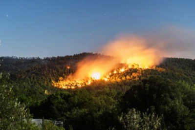 Algérie : 4271 hectares de couvert forestier ravagés par 814 incendies