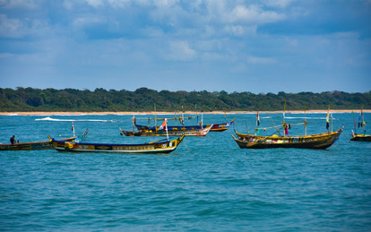 La Côte d'Ivoire se dote d'une aire de protection des requins et des tortues