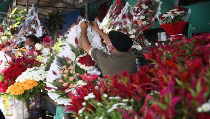 La floriculture se flétrit en temps de crise
