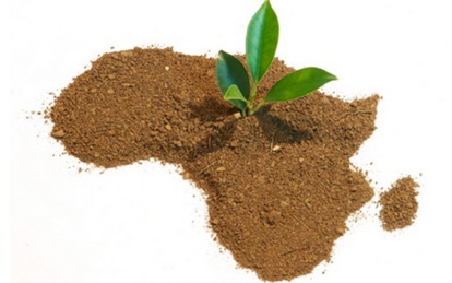 Bulletin de l'écologie de l'Afrique