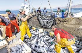 L'arme fatale serait d'interdire aux bateaux de pêche espagnols d'entrer dans les eaux territoriales marocaines