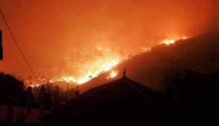 Algérie: des forêts du massif des Aurès en proie aux flammes