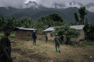 Dans l'enfer des ADF: un drapeau jihadiste dans la forêt congolaise