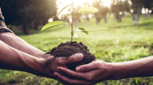 Bulletin quotidien de l'écologie en Afrique