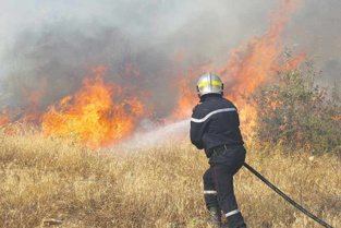 Quatre morts dans des incendies de forêts en Algérie