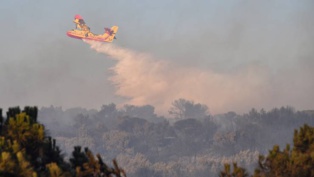 Paris envoie deux Canadair pour aider l'Algérie à lutter contre les feux