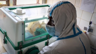 La Côte d'Ivoire enregistre son premier cas de virus Ebola depuis 1994