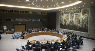 Sahel: Le Conseil de sécurité de l'ONU préoccupé par la montée du terrorisme