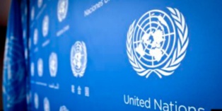 L'ONU préoccupée par la campagne de harcèlement menée par le pouvoir en Algérie à l'encontre des défenseurs des droits humains