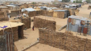 Nigeria: après la déradicalisation, la désillusion des repentis de Boko Haram
