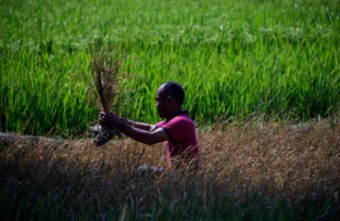 L'Afrique doit prendre en compte le climat dans sa relance post-Covid (rapport)