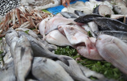 Les exportations de poissons rapportent à l'Angola 35 millions de dollars en six mois