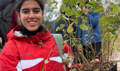 Tunisie : Plus de 9000 arbres ont été plantés dimanche dernier