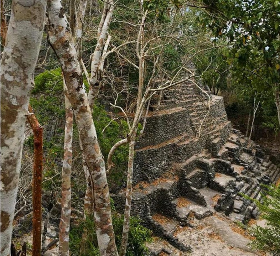 Vu d’Amérique. Volubilis est une ‘véritable machine à remonter le temps’