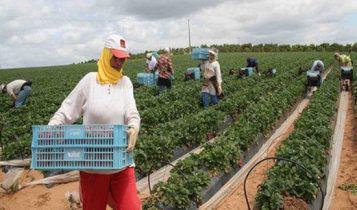 Etude: L’agriculture marocaine parmi les plus attractives en Afrique, en 2022