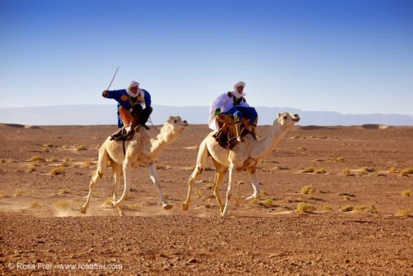 Réunis au Maroc, les nomades célèbrent leur principale "fortune": la culture