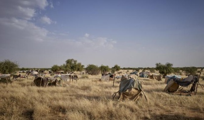 Mali: les jihadistes tuent 40 civils complices selon eux de leurs rivaux