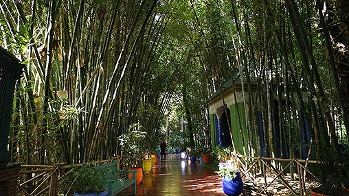 L’Université Cadi Ayyad et la Fondation Jardin Majorelle renforcent leur collaboration scientifique