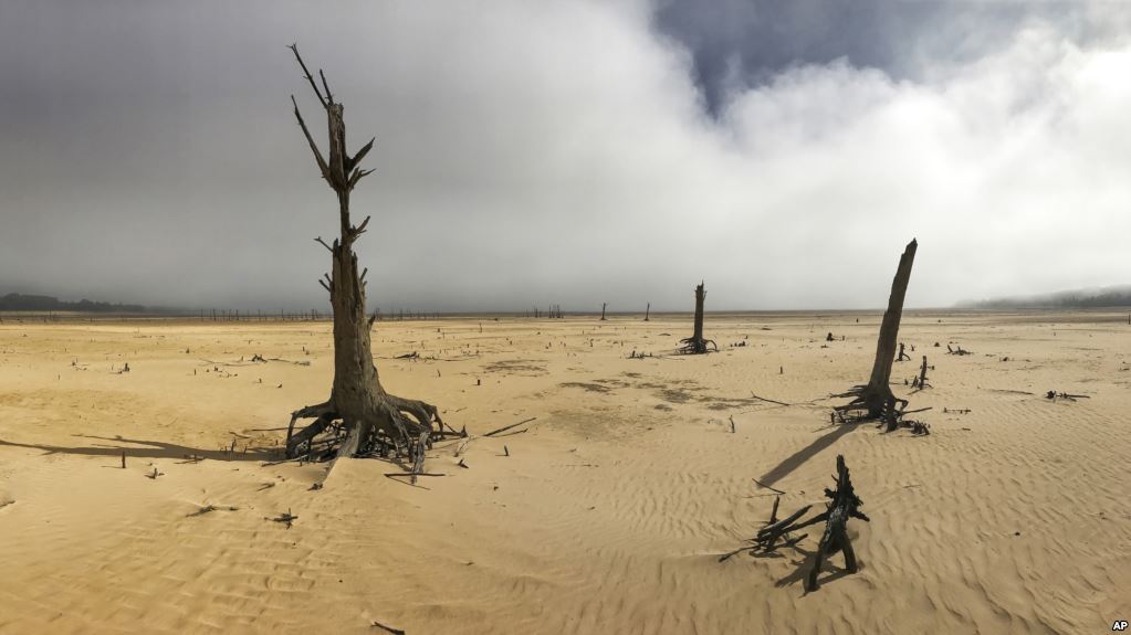 Afrique du Sud: Le Cap frappé par une grave sécheresse, des restrictions drastiques imposées