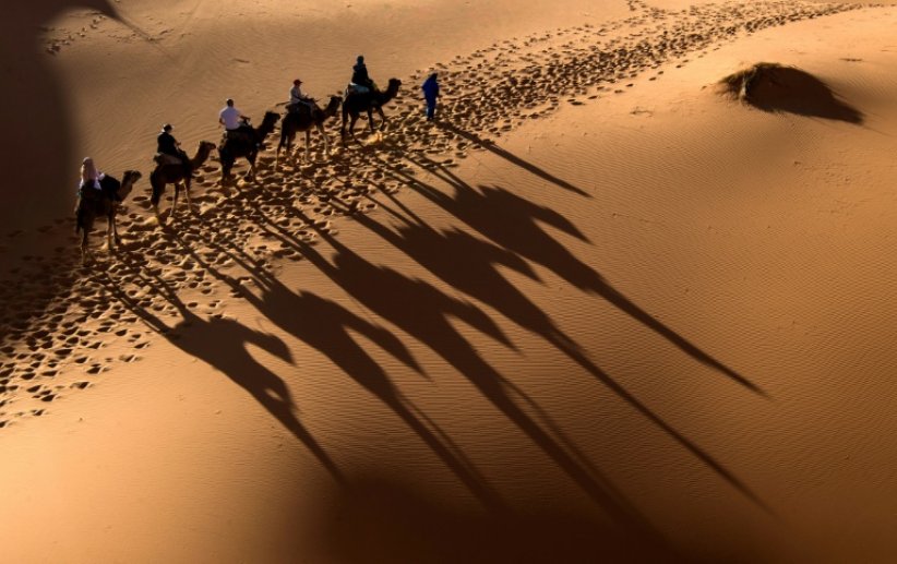 Des étalons dans une tempête de sable: défi équestre dans le désert marocain