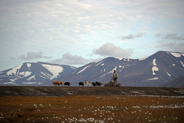 L'"Arche de Noé végétale" s'étoffe en plein coeur de l'Arctique